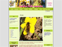 Tablet Screenshot of abeilles-mayennaises.fr
